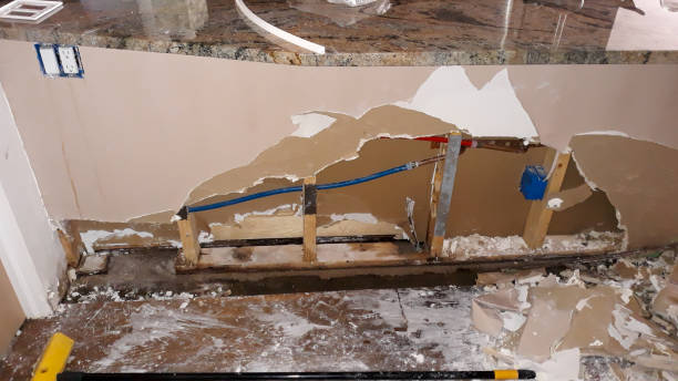 Best Mold removal after water damage  in Osceola Mills, PA