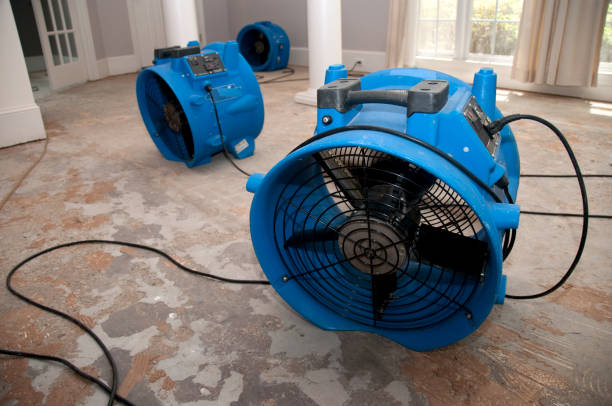 Best Water damage restoration near me  in Osceola Mills, PA