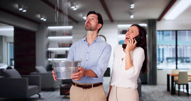 Best Water damage restoration company  in Osceola Mills, PA