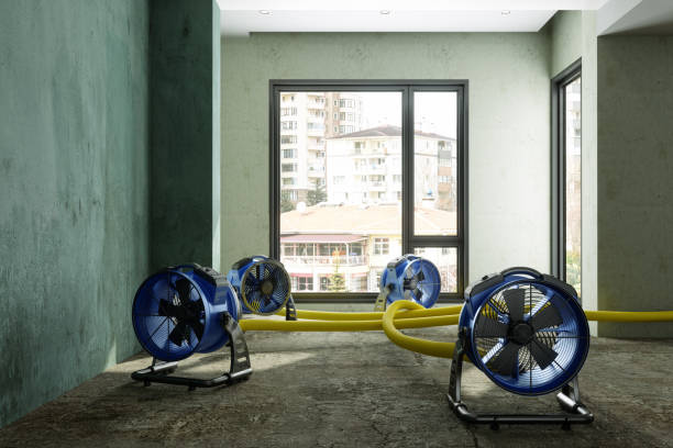 Best Water damage contractors near me  in Osceola Mills, PA