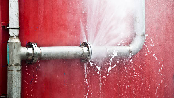 Best Water damage restoration process  in Osceola Mills, PA